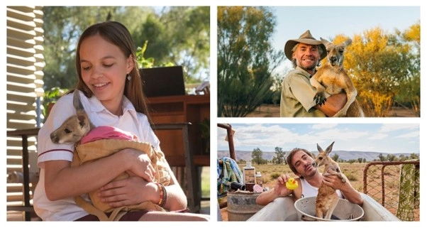 Three people are holding a kangaroo or joey in a collage of photos.